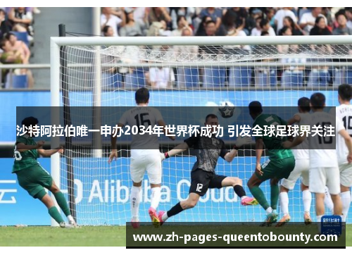 沙特阿拉伯唯一申办2034年世界杯成功 引发全球足球界关注